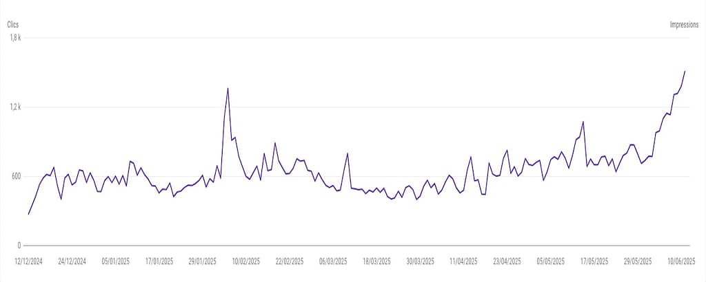 Performances SEO Tournus